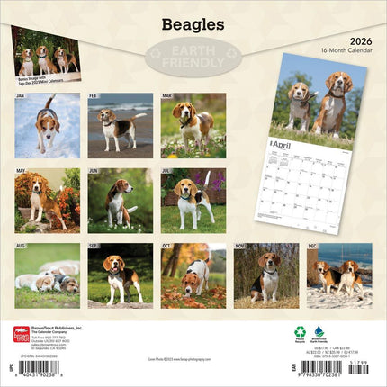 Browntrout Beagle Kalender 2026