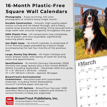 Browntrout Berner Sennen Kalender 2026