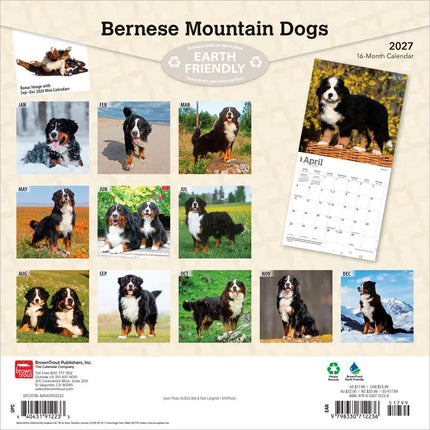 Browntrout Berner Sennen Kalender 2027