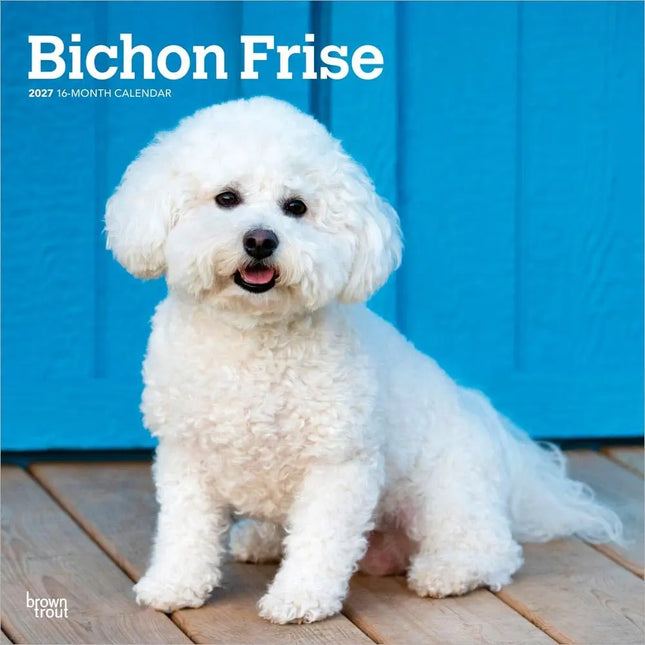 Browntrout Bichon Frise Kalender 2027