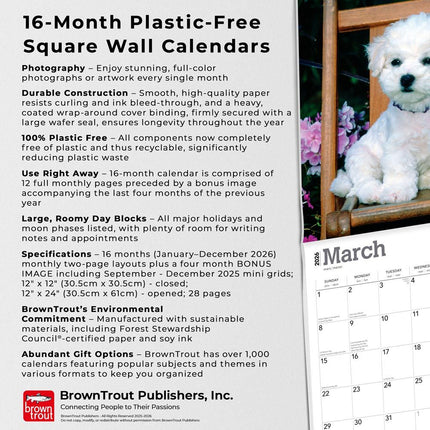Browntrout Bichon Frise Puppies Kalender 2026