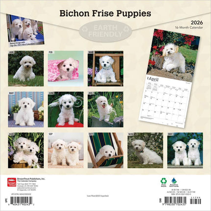 Browntrout Bichon Frise Puppies Kalender 2026