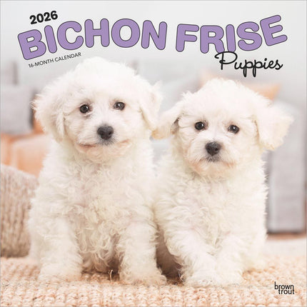 Browntrout Bichon Frise Puppies Kalender 2026