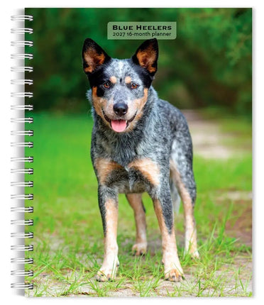 Browntrout Blue Heelers Agenda 2027