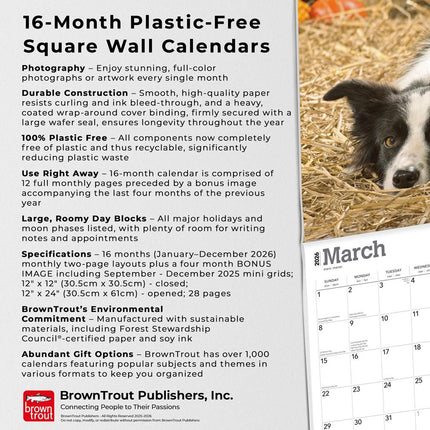 Browntrout Border Collie Kalender 2026