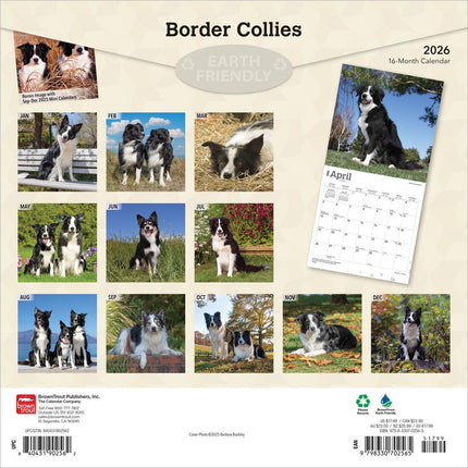 Browntrout Border Collie Kalender 2026