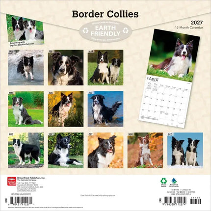 Browntrout Border Collie Kalender 2027