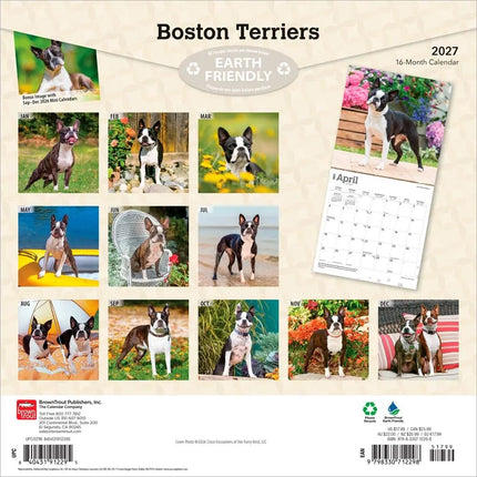 Browntrout Boston Terrier Kalender 2027