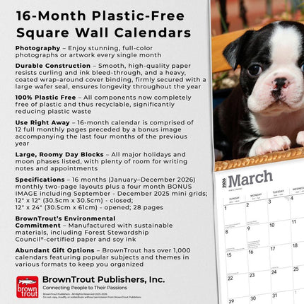 Browntrout Boston Terrier Puppies Kalender 2026
