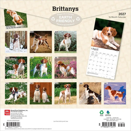 Browntrout Brittany Spaniel Kalender 2027
