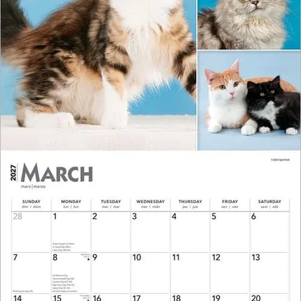 Browntrout Cat Lovers Kalender 2027