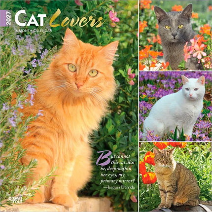 Browntrout Cat Lovers Kalender 2027
