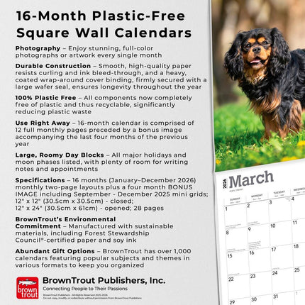 Browntrout Cavalier King Charles Spaniel Kalender 2026
