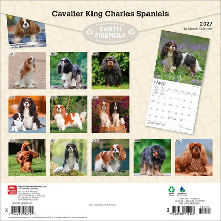 Browntrout Cavalier King Charles Spaniel Kalender 2027