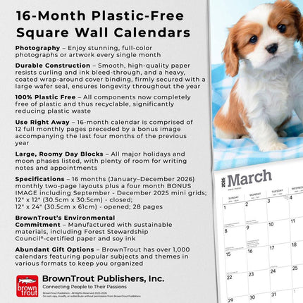 Browntrout Cavalier King Charles Spaniel Puppies Kalender 2027