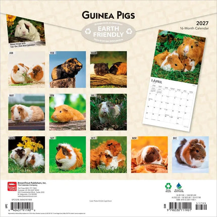 Browntrout Cavia Kalender 2027