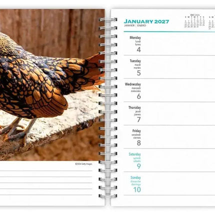 Browntrout Chickens Agenda 2027