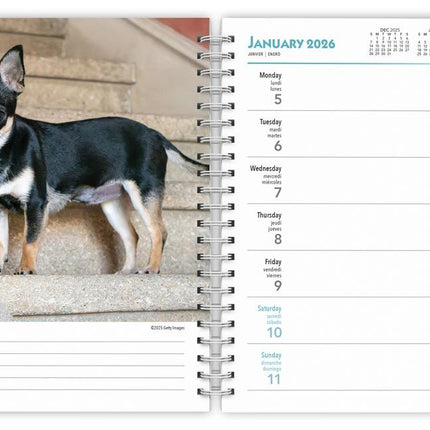Browntrout Chihuahua Agenda 2026