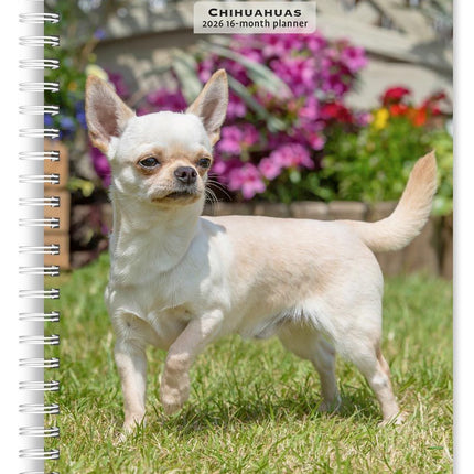 Browntrout Chihuahua Agenda 2026