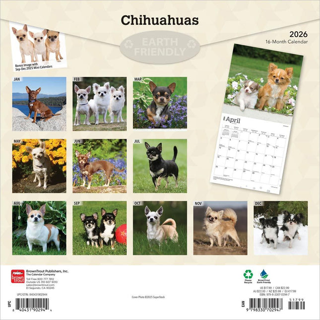 Browntrout Chihuahua Kalender 2026