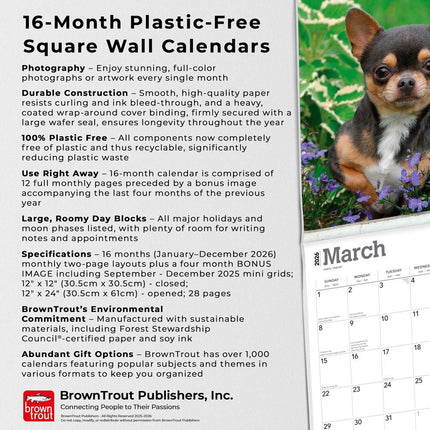 Browntrout Chihuahua Kalender 2027