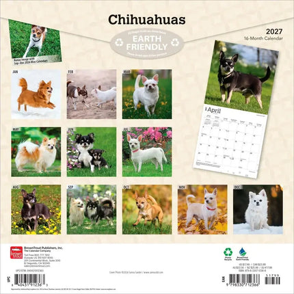 Browntrout Chihuahua Kalender 2027