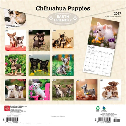 Browntrout Chihuahua Puppies Kalender 2027