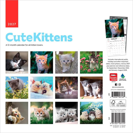 Browntrout Cute Kittens Kalender 2027