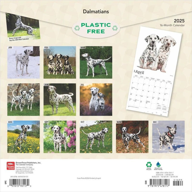 Browntrout Dalmatier Kalender 2025