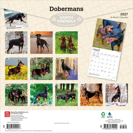 Browntrout Dobermann Kalender 2027