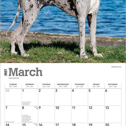 Browntrout Duitse Dog Kalender 2027