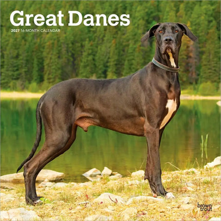 Browntrout Duitse Dog Kalender 2027