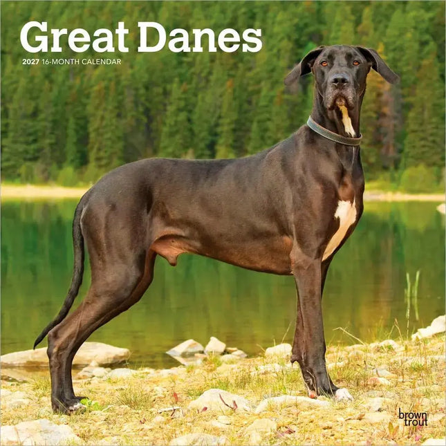 Browntrout Duitse Dog Kalender 2027