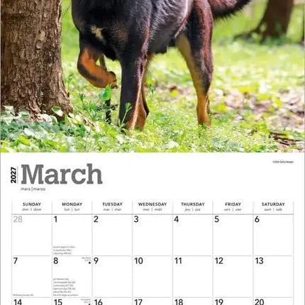 Browntrout Duitse Herder Kalender 2027