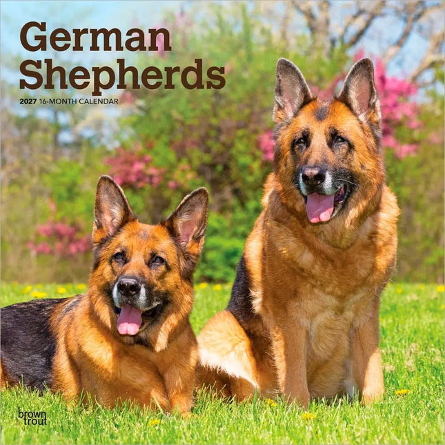 Browntrout Duitse Herder Kalender 2027