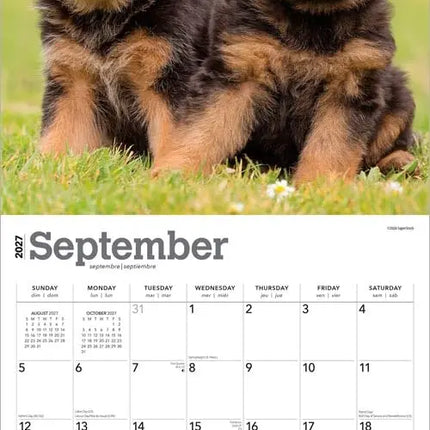 Browntrout Duitse Herder Puppies Kalender 2027
