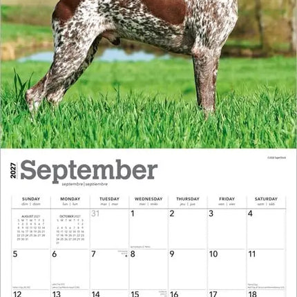 Browntrout Duitse Staande Kalender 2027
