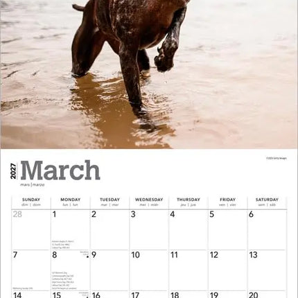 Browntrout Duitse Staande Kalender 2027
