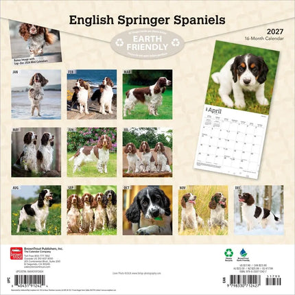 Browntrout Engelse Springer Spaniel Kalender 2027