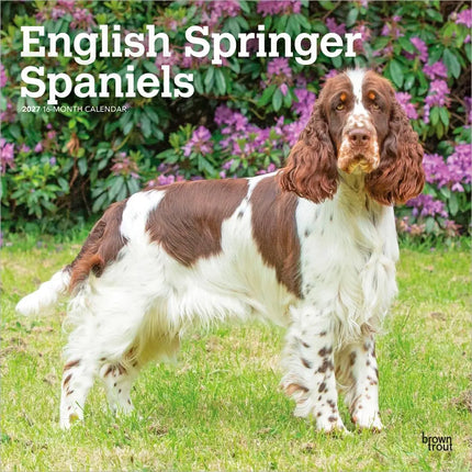 Browntrout Engelse Springer Spaniel Kalender 2027
