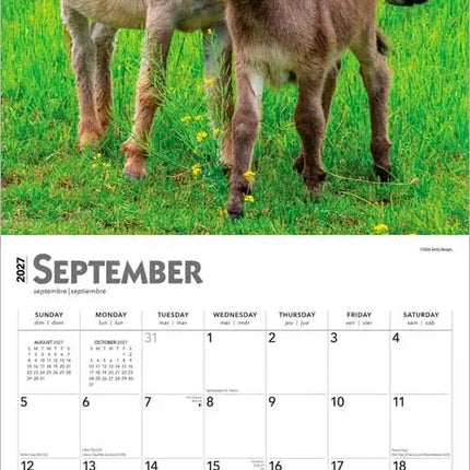 Browntrout Ezel Kalender 2027