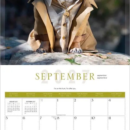 Browntrout Fantasy Pugs Kalender 2027