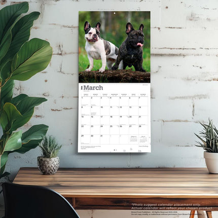 Browntrout Franse Bulldog Kalender 2027