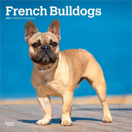 Browntrout Franse Bulldog Kalender 2027