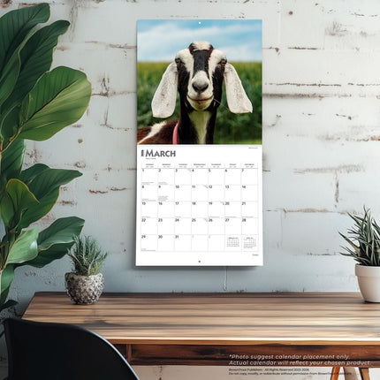 Browntrout Geiten Kalender 2026