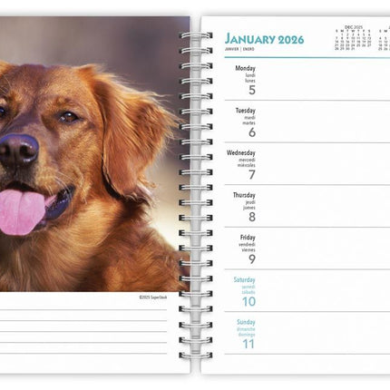 Browntrout Golden Retriever Agenda 2026