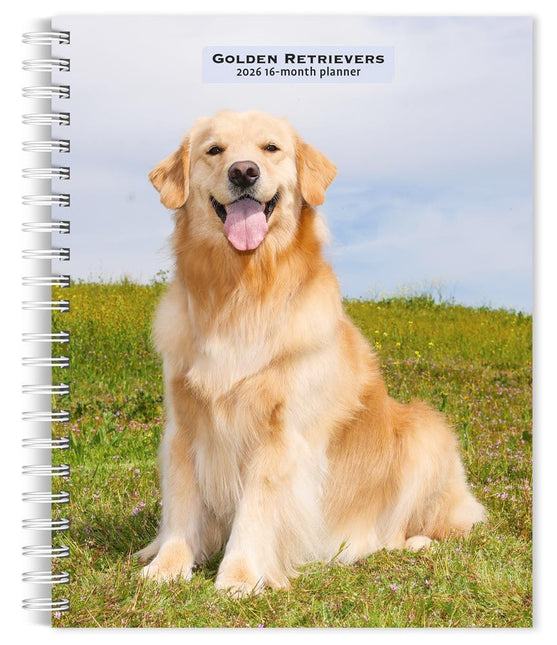 Browntrout Golden Retriever Agenda 2027