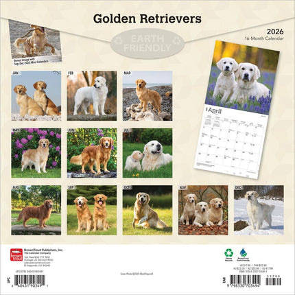 Browntrout Golden Retriever Kalender 2026