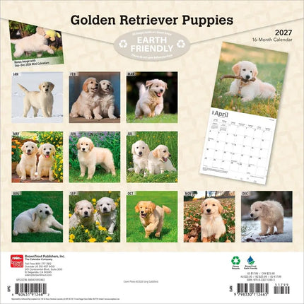 Browntrout Golden Retriever Puppies Kalender 2027
