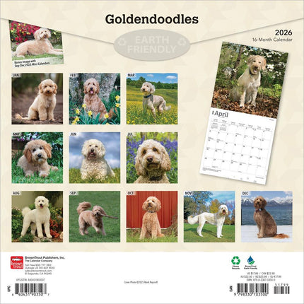 Browntrout Goldendoodle Kalender 2026